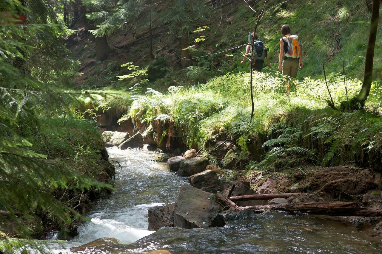 Ferienoase Hinterhermsdorf Esterno foto